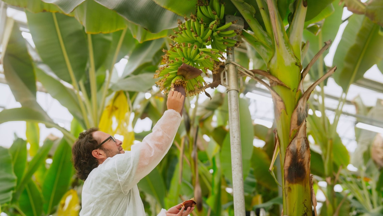 Chiquita Launches 2024-2025 Sustainability Report, Reinforcing Commitment to “Behind the Blue Sticker” Strategy and Climate Action