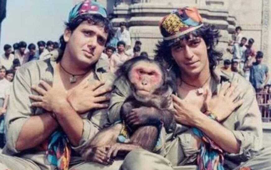 Chunky Panday says he, Govinda were paid less than the monkey in David Dhawan’s Ankhen: ‘We didn’t get…’ | Bollywood