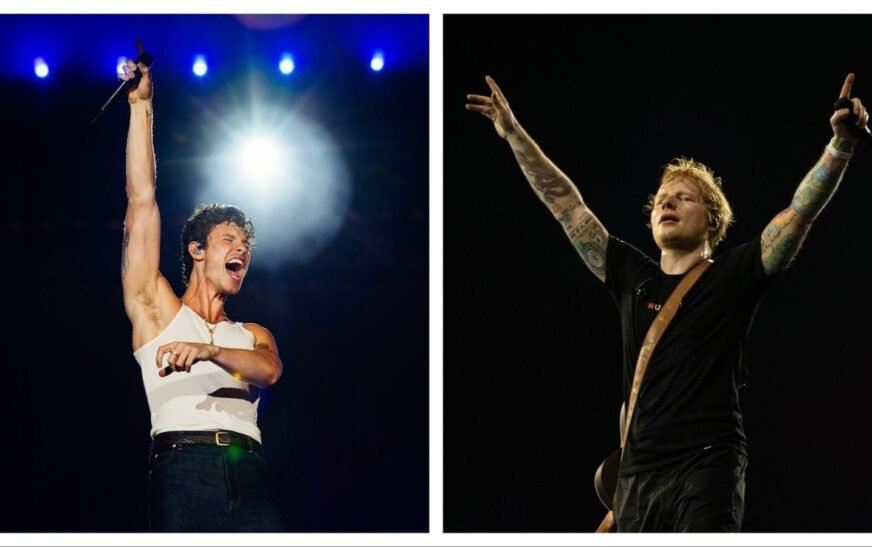 No toilets, parking woes to warring fans: India sees music tourism boom but are we really ready for it?