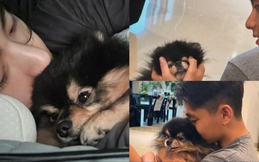 BTS’ Kim Taehyung remembers his pet dog Yeontan, plays and cuddles with him in unseen pics and videos