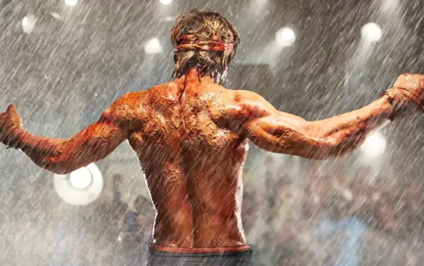 Allu Arjun made ₹300 crore for Pushpa 2 but he’s not India’s highest-paid actor; how a man with 0 films in 2024 beat him | Bollywood