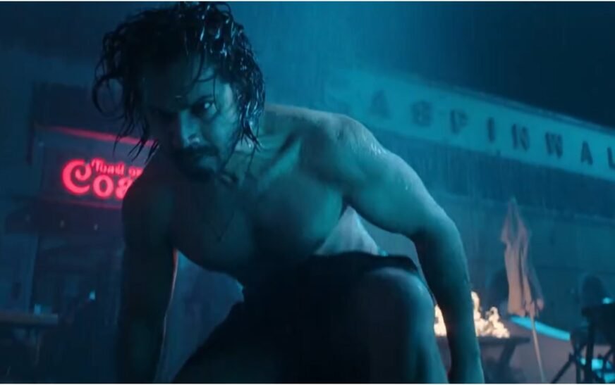 Fans go gaga over Salman Khan’s ‘surprise’ cameo in Varun Dhawan-starrer – India TV