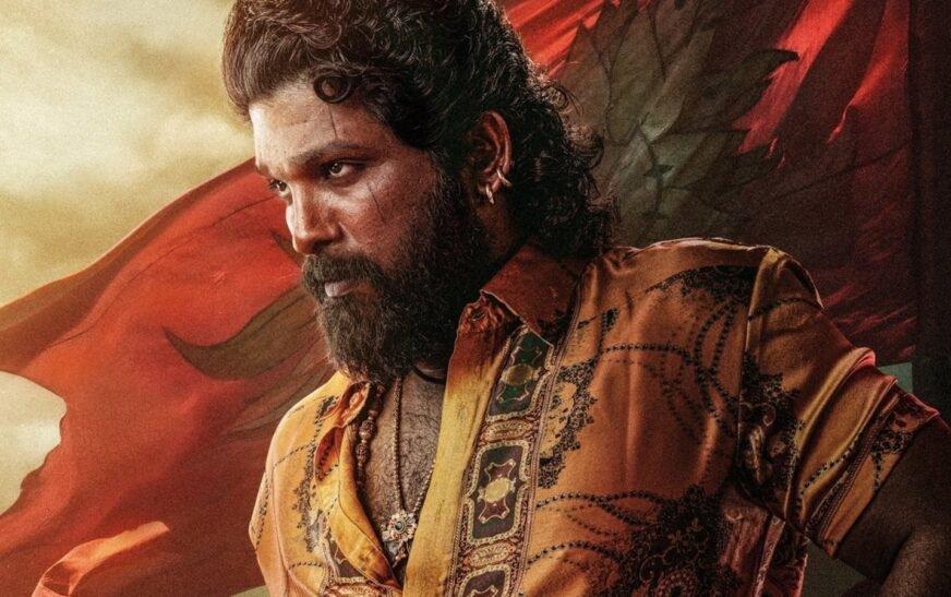 Pushpa 2 The Rule dubbed version becomes first Hindi film to enter ₹700 crore club: A breakdown of all history-makers | Bollywood