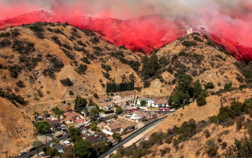 Hollywood stars including James Woods, Mandy Moore forced to flee amid Pacific Palisades wildfire – India TV